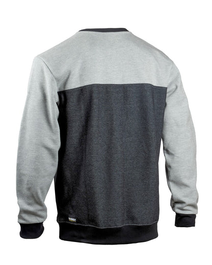 4419+ - Back view