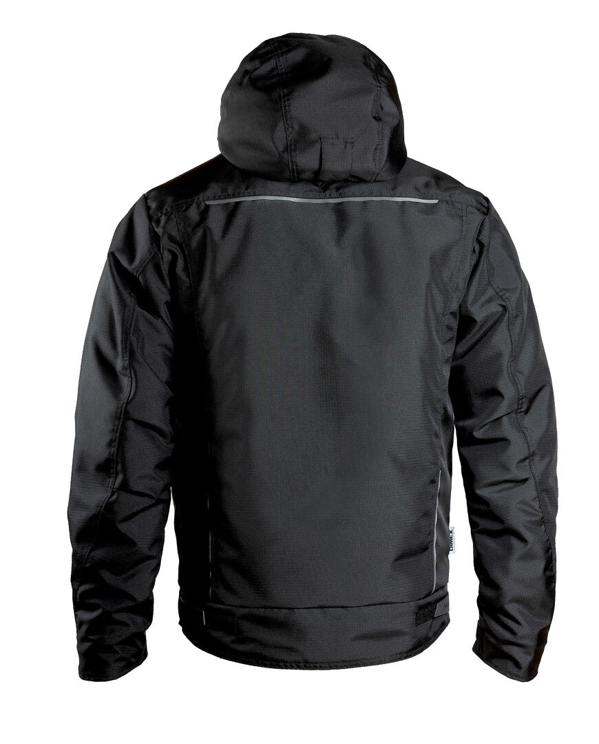 6199 - Back view