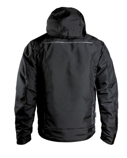 6199 - Back view